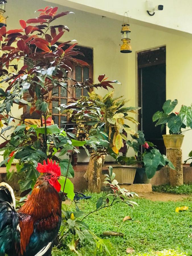 Sigiri Lakshan Home Stay Sigiriya Eksteriør bilde