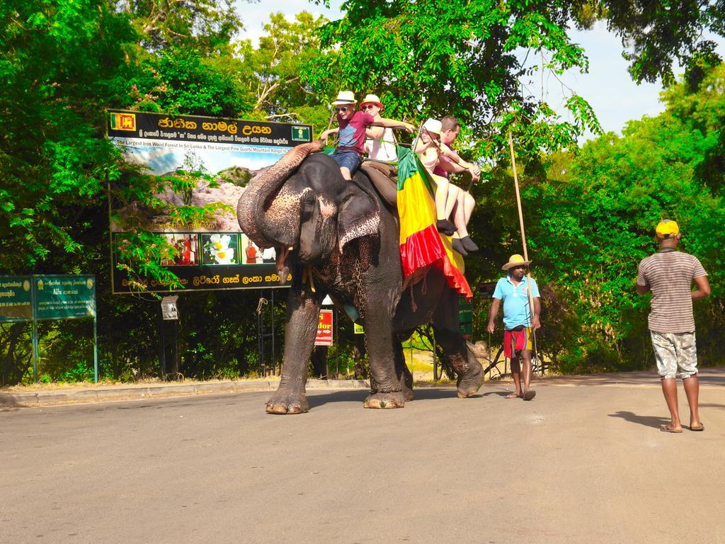 Sigiri Lakshan Home Stay Sigiriya Eksteriør bilde