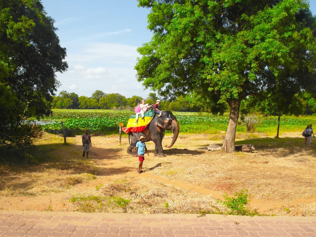 Sigiri Lakshan Home Stay Sigiriya Eksteriør bilde